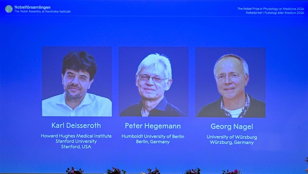 Der Nobelpreis für Medizin geht an Karl Deisseroth aus den USA sowie an die deutschen Forscher ...