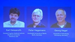 Der Nobelpreis für Medizin geht an Karl Deisseroth aus den USA sowie an die deutschen Forscher ...
