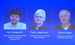 Der Nobelpreis für Medizin geht an Karl Deisseroth aus den USA sowie an die deutschen Forscher ...