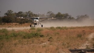 Ein Safari-Flugzeug musste am Kilimandscharo eine spektakuläre Notlandung hinlegen (Symbolbild).