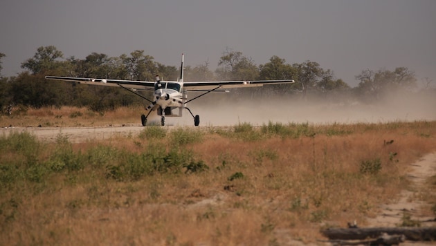 Ein Safari-Flugzeug musste am Kilimandscharo eine spektakuläre Notlandung hinlegen (Symbolbild).