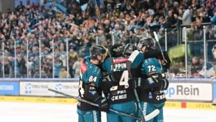 Die Black Wings gewannen fünf der letzten sechs Spiele in der ICE Hockey League.