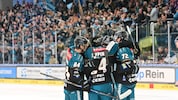 Die Black Wings gewannen fünf der letzten sechs Spiele in der ICE Hockey League.