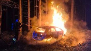 Der Wagen brannte vollständig aus. Die Feuerwehr verhinderte, dass die Flammen auf den Wald ...