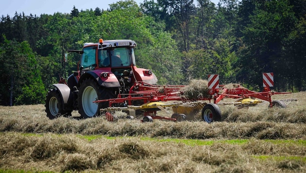 Die Bauern bringen gerade die letzte Heuernte der Saison ein.