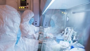 Die russische Behörde Rospotrebnadsor hat dementiert, dass eine Labormitarbeiterin an Pest ...