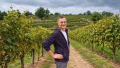 Josef Umathum: „Österreichs Weinbau steckt in der größten Krise. Wir müssen handeln!“