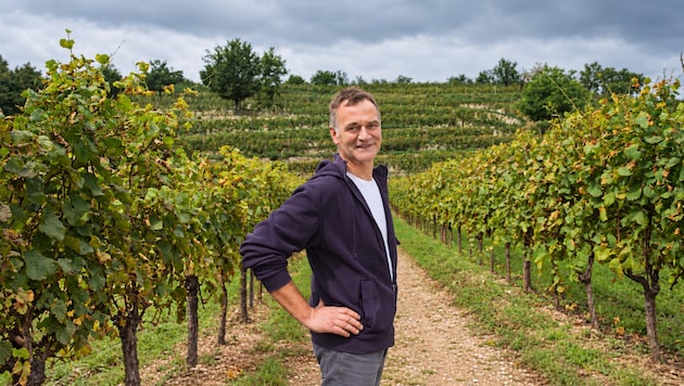 Josef Umathum: „Österreichs Weinbau steckt in der größten Krise. Wir müssen handeln!“