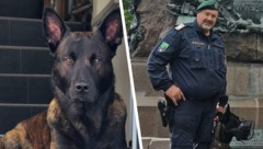 Polizeidiensthund „Ron“ mit Hundeführer Dietmar Lintner.