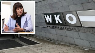 Im Präsidium will WKO-Präsidentin Martha Schultz neue Gehalts- und Transparenz-Richtlinien ...
