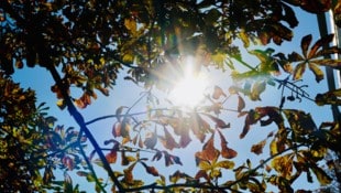 Am Mittwoch klettern die Temperaturen in Österreich auf bis zu 25 Grad.