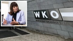 Im Präsidium will WKO-Präsidentin Martha Schultz neue Gehalts- und Transparenz-Richtlinien ...