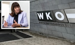 Im Präsidium will WKO-Präsidentin Martha Schultz neue Gehalts- und Transparenz-Richtlinien ...