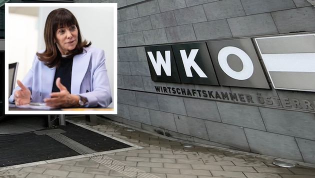 Im Präsidium will WKO-Präsidentin Martha Schultz neue Gehalts- und Transparenz-Richtlinien ...
