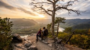 Vom Welterbesteig in der Wachau (Foto) bis zur Ysperklamm, vom Schneeberg bis zum Hochkar: ...