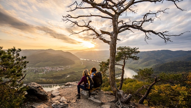 Vom Welterbesteig in der Wachau (Foto) bis zur Ysperklamm, vom Schneeberg bis zum Hochkar: ...