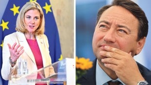 Wie viele Gemeinsamkeiten haben FPÖ und NEOS?