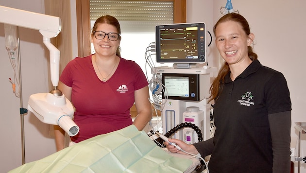 Zwei Tierärztinnen neuester Generation am OP-Tisch: Sarah Pöllitzer (links) und Veronika Gruber ...