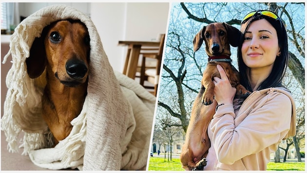 Biajna A. kämpft um ihren Liebling. Sie will auch darauf aufmerksam machen, dass man sich ...
