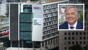 Musste Ende Juli 2026 nach zwölf Jahren abtreten: Ex-WKW-Präsident Walter Ruck