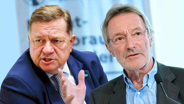 Laut Werner Amon (links) geht Heinz Mayer von falschen Voraussetzungen aus.