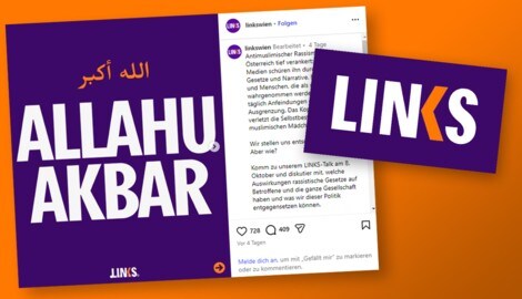Die Partei LINKS wirbt mit einem umstrittenen Bild uas Social Media.