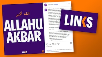 Die Partei LINKS wirbt mit einem umstrittenen Bild uas Social Media.