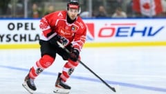 Bernd Wolf
