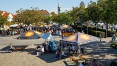 Rot-goldener Schatten: Die Sonnenschirme mit dem Burgenland-Logo sollen künftig in Gastgärten im ...