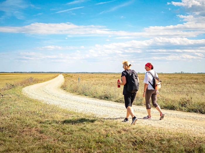 Der Bernstein Trail führt durch die Landschaft des Nationalparks Neusiedler See – Seewinkel.