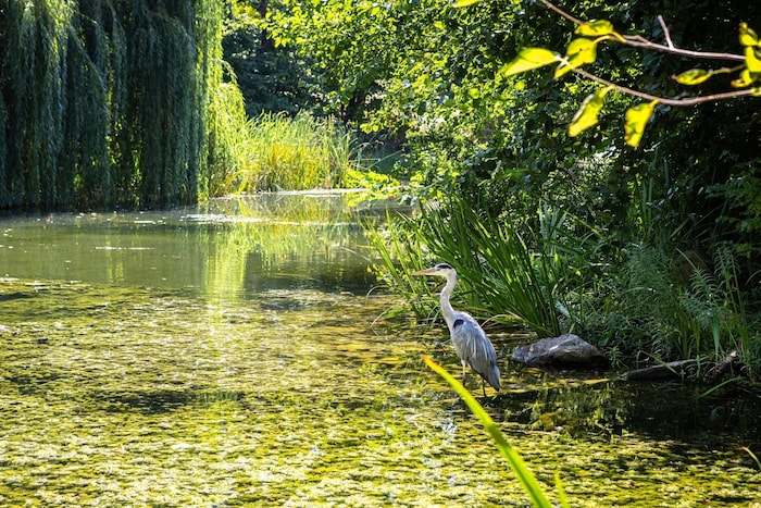 Türkenschanzpark