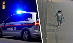 Nach einer mutmaßlichen Vergewaltigung sucht die Wiener Polizei diesen Mann.