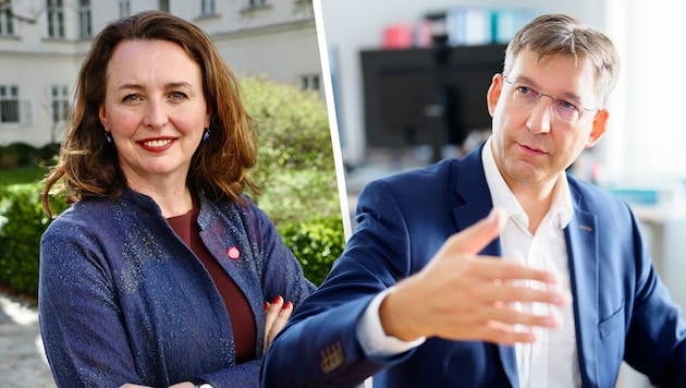 Neos-Klubchefin Arapović geht mit ÖVP-Chef Figl hart ins Gericht.