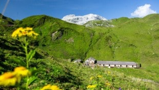 Vorarlberg holt sich bereits den fünften Titel.