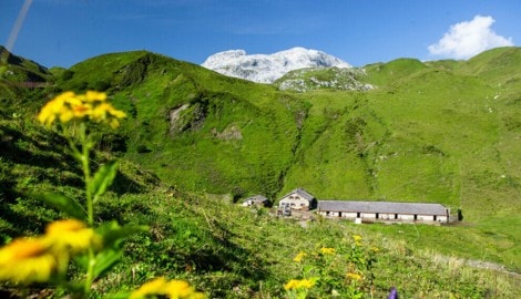 Vorarlberg holt sich bereits den fünften Titel.