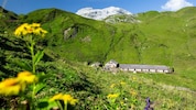 Vorarlberg holt sich bereits den fünften Titel.