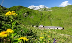 Vorarlberg holt sich bereits den fünften Titel.
