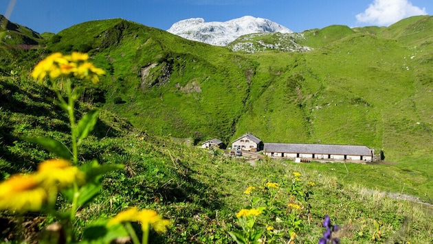 Idyllisch: Die Alpe Tilisuna.