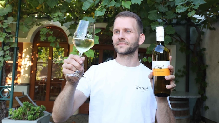 Grüner Veltliner 2025 von Martin Gangl aus Illmitz hat die Fachjury überzeugt. Am Gaumen frisch, ...