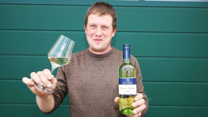 Grüner Veltliner Ried Kramer 2025 bringt Michael Schneider aus St. Margarethen ins Finale. Am ...
