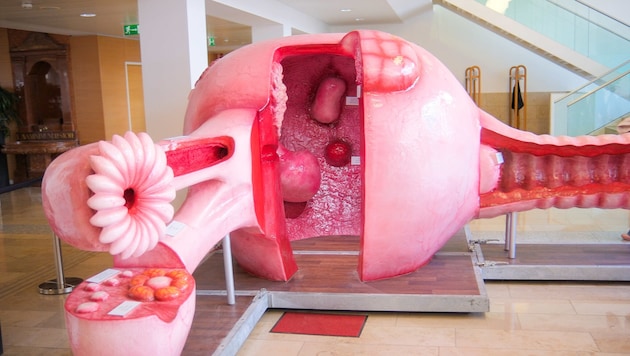 The model will be on display in Linz through Friday.