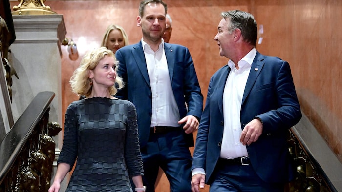 Das (vorläufig) neue SPÖ-Cheftrio: Frauenvorsitzende Eva-Maria Holzleitner, Klubchef Philip ...