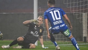 Mit Hartberg haben Goalie Domenik Schierl und seine Teamkollegen bisher nicht die schlechtesten ...