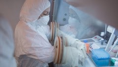 In Österreich ist bereits seit mehr als 80 Jahren kein Pestfall mehr verzeichnet worden (im ...
