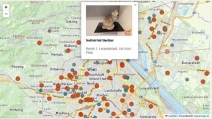 Aktuell sind rund 140 Tiere auf der Seite samt Foto ausgestellt. 