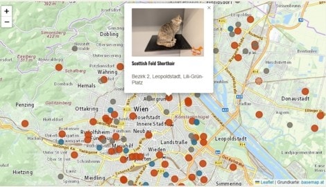 Aktuell sind rund 140 Tiere auf der Seite samt Foto ausgestellt. 