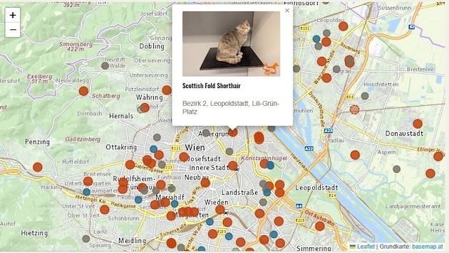 Aktuell sind rund 140 Tiere auf der Seite samt Foto ausgestellt.