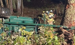 Der Traktor samt Anhänger landete im Wald.