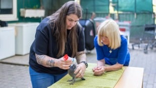 Sarah Dobernig wurde von Angelika Winkler (re) nominiert. „Ihr Einsatz für Tiere ist ...
