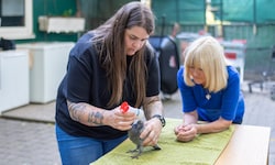 Sarah Dobernig wurde von Angelika Winkler (re) nominiert. „Ihr Einsatz für Tiere ist ...